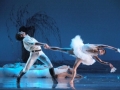 Madia_SWAN-LAKE_Teatr-Wielki_01