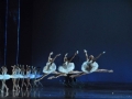 Madia_SWAN-LAKE_Teatr-Wielki_18