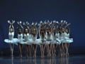 Madia_SWAN-LAKE_Teatr-Wielki_19