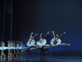 Madia_SWAN-LAKE_Teatr-Wielki_Michal_Matuszak_18