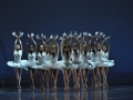 Madia_SWAN-LAKE_Teatr-Wielki_Michal_Matuszak_19