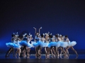 Madia_SWAN-LAKE_Teatr-Wielki_Michal_Matuszak_27